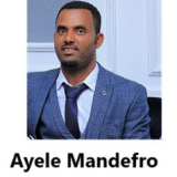 Ayele Mandefro Ademe